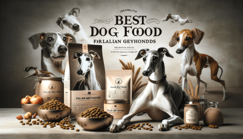 Italian Greyhound with their food of different brands