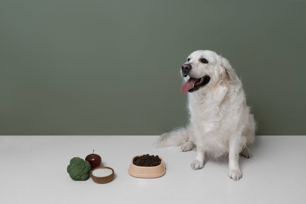 beautiful dog with nutritious food